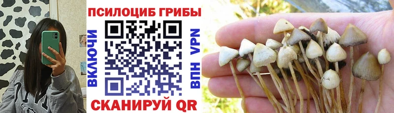 где продают наркотики Туапсе Псилоцибиновые грибы MAGIC MUSHROOMS