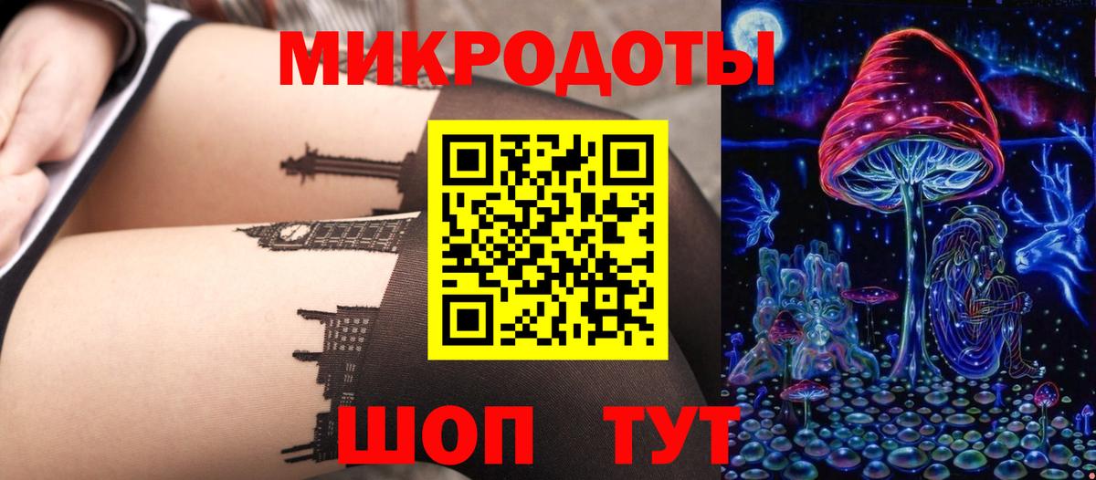 Галлюциногенные грибы Psilocybe  Вход с VPN  Туапсе 