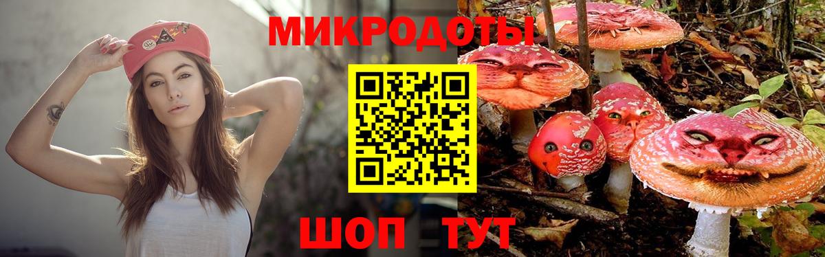 Псилоцибиновые грибы прущие грибы Туапсе